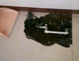 猇亭卫生间测漏水多少钱